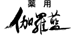 薬用伽羅藍